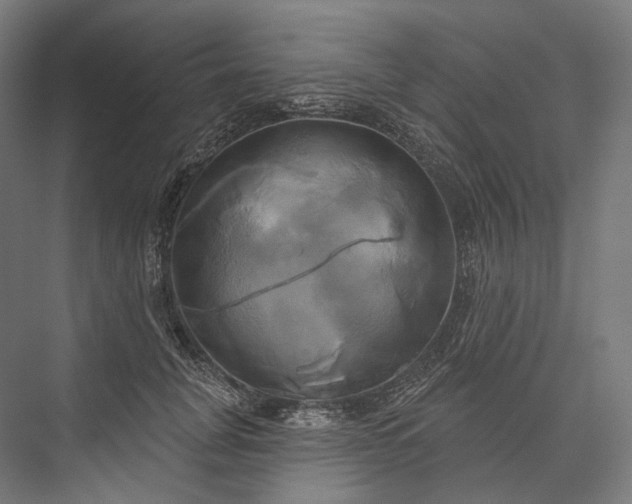 X0000076380751200610061124