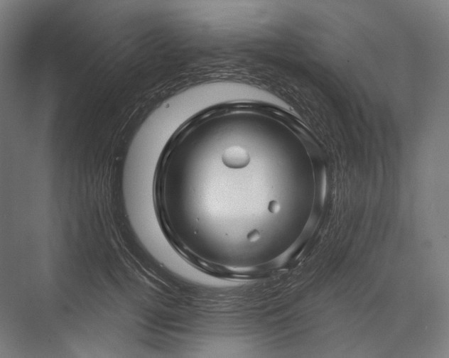 X0000076380752200610061124