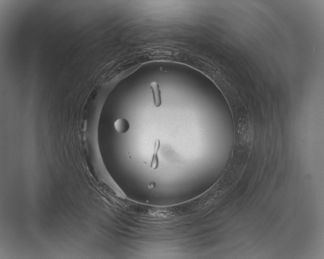 X0000076380753200610061124