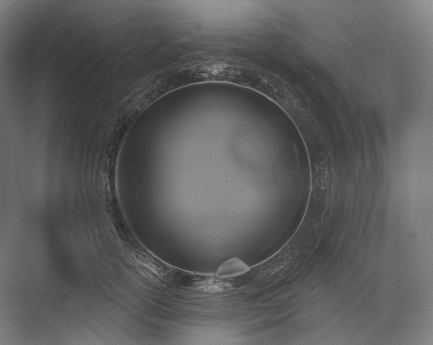 X0000076380754200610061124