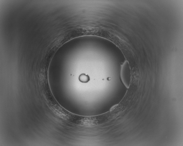 X0000076380756200610061124