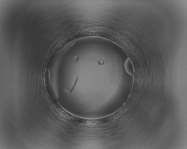 X0000076380758200610061124