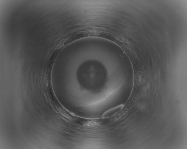 X0000076380759200610061124