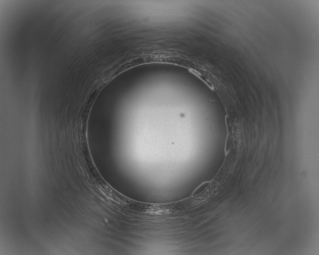 X0000076380760200610061124