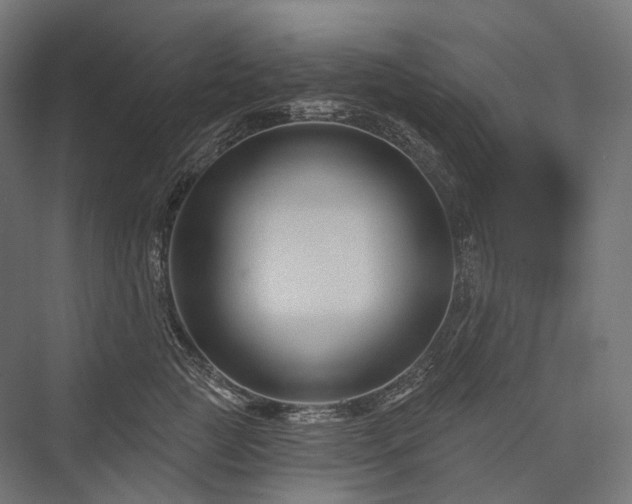 X0000076380761200610061124