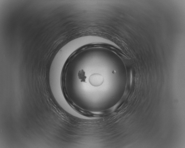 X0000076380762200610061124