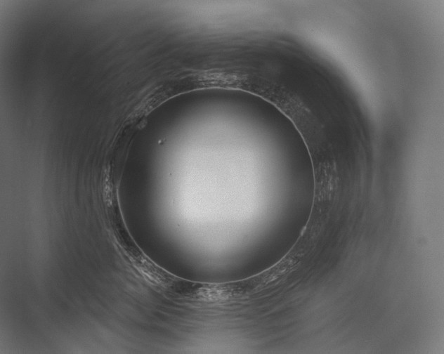 X0000076380764200610061124