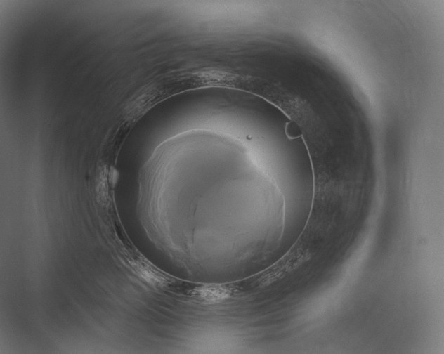 X0000076380765200610061124