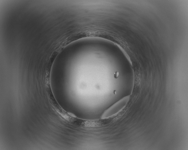 X0000076380766200610061124