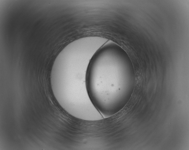 X0000076380767200610061124