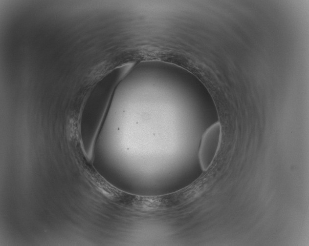 X0000076380768200610061124