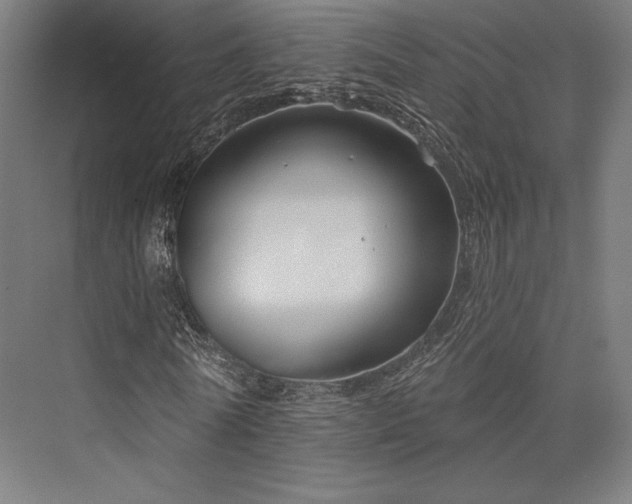 X0000076380770200610061123