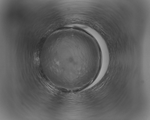 X0000076380771200610061123