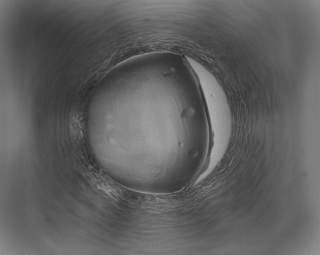 X0000076380772200610061123