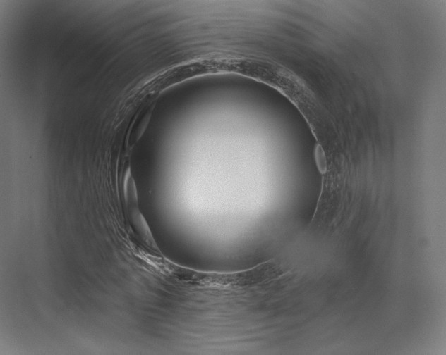 X0000076380773200610061123