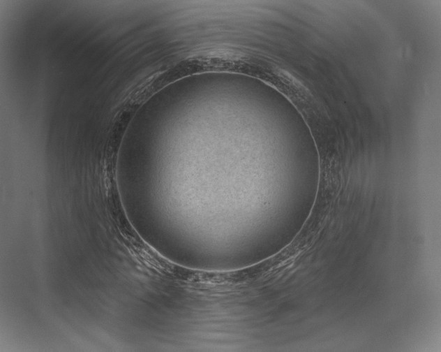 X0000076380774200610061123