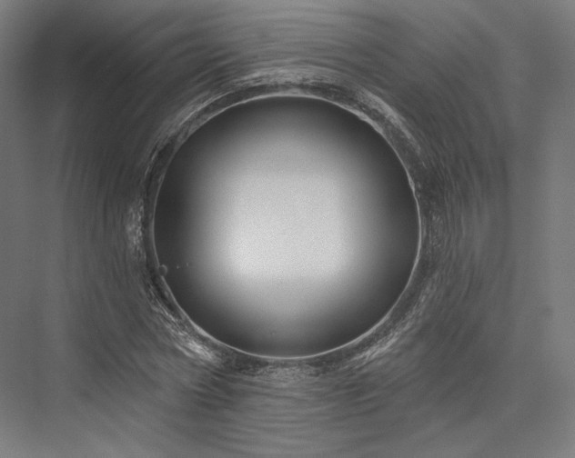 X0000076380778200610061123