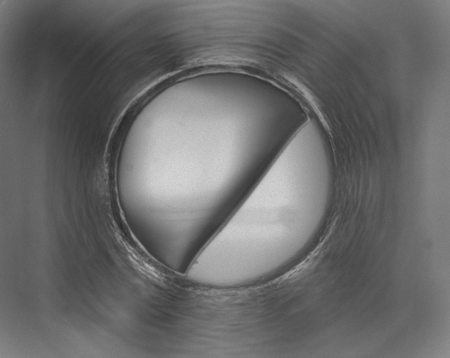 X0000076380779200610061123