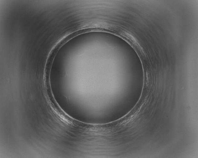 X0000076380780200610061123