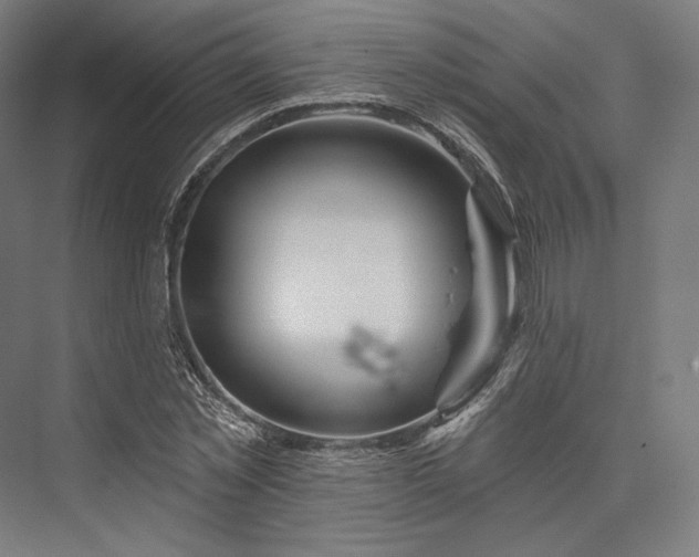 X0000076380781200610061123