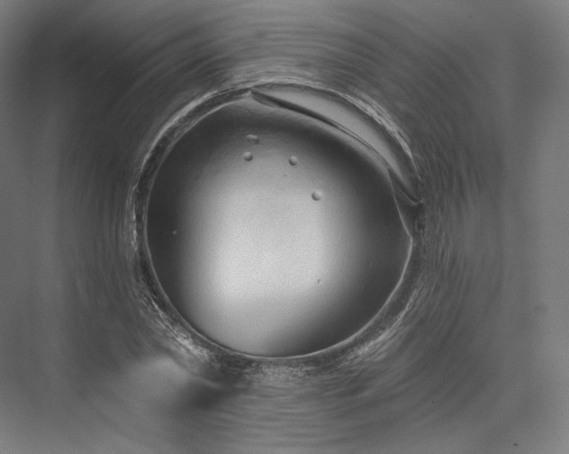 X0000076380782200610061123