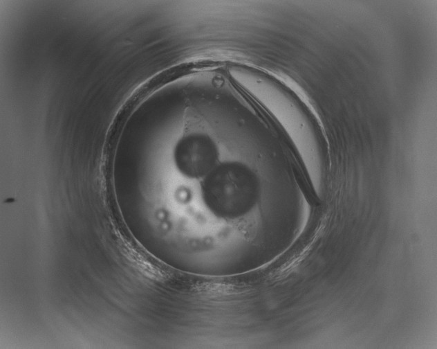 X0000076380783200610061123