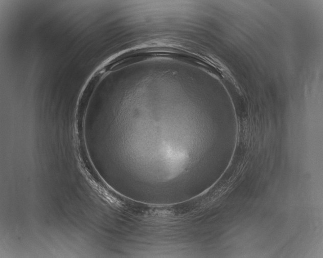 X0000076380784200610061123