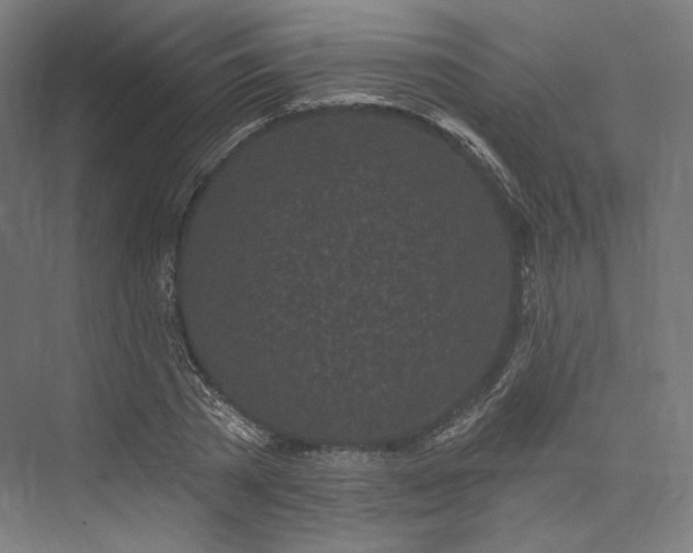 X0000076380785200610061123