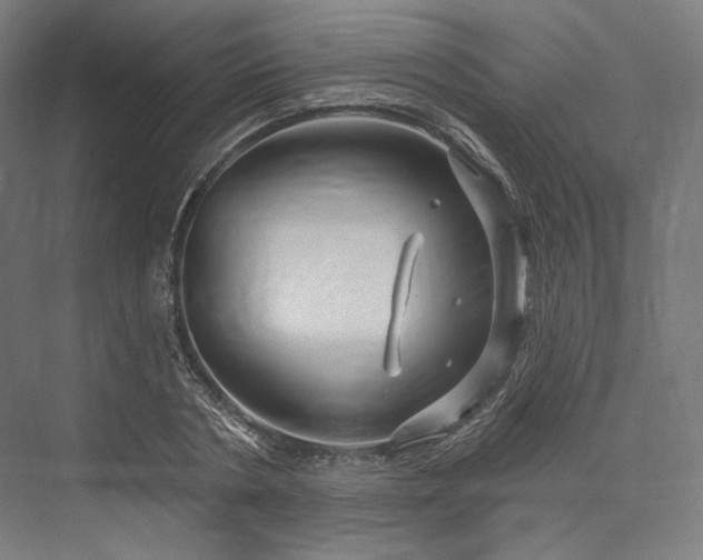 X0000076380786200610061123