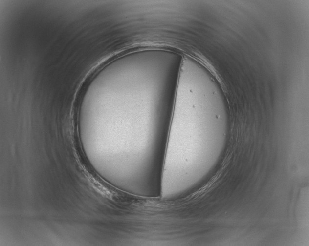 X0000076380787200610061123