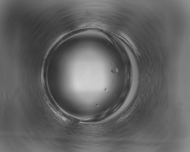 X0000076380788200610061123