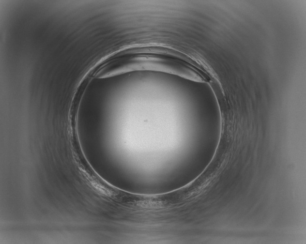 X0000076380789200610061123