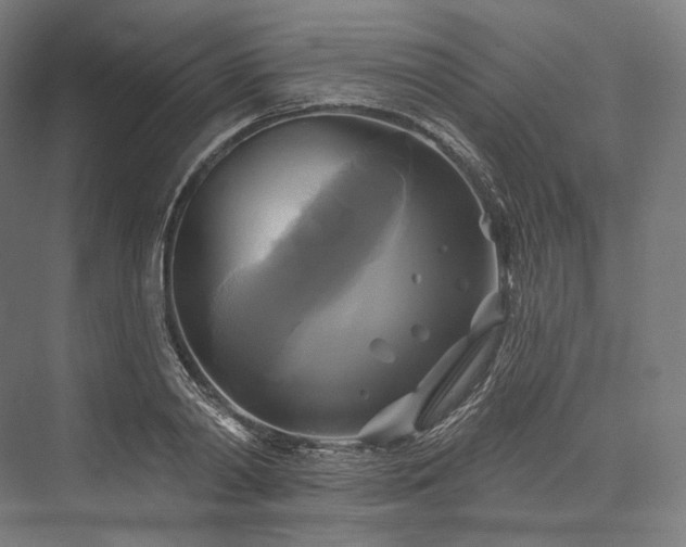 X0000076380790200610061123