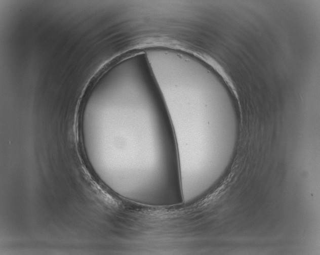 X0000076380791200610061123