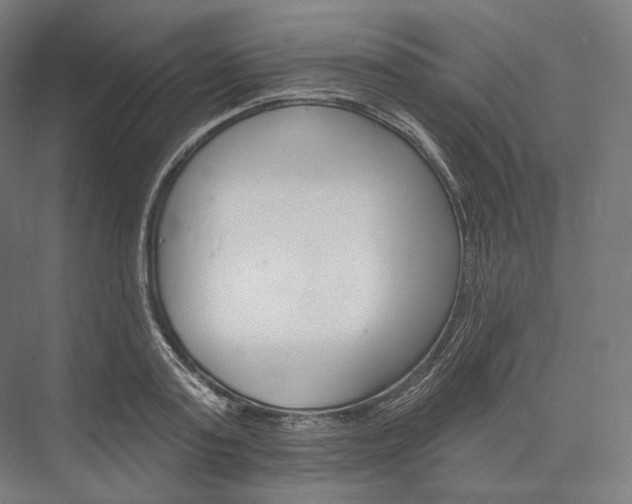 X0000076380795200610061123