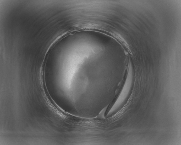 X0000076380798200610061123