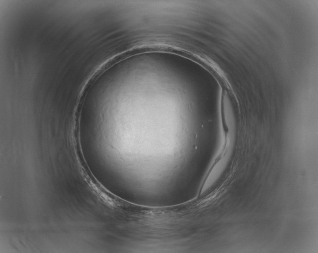 X0000076380799200610061123