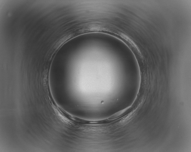 X0000076380801200610061123