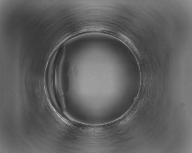 X0000076380802200610061123