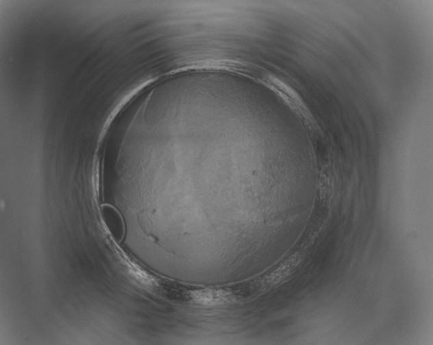 X0000076380804200610061123