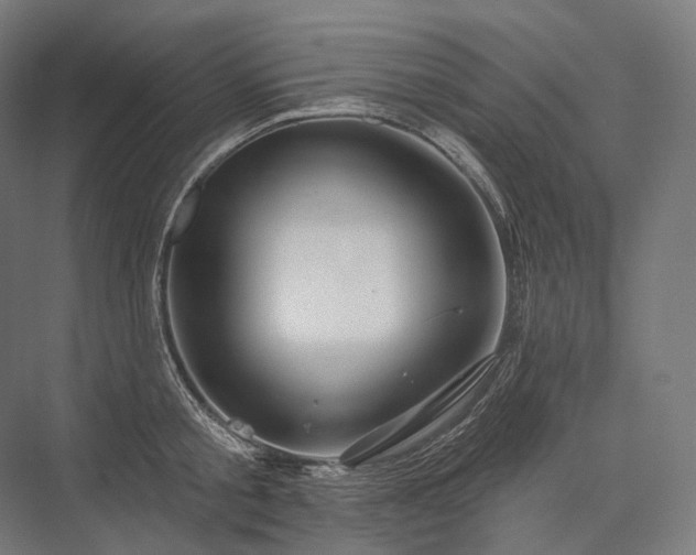 X0000076380805200610061123