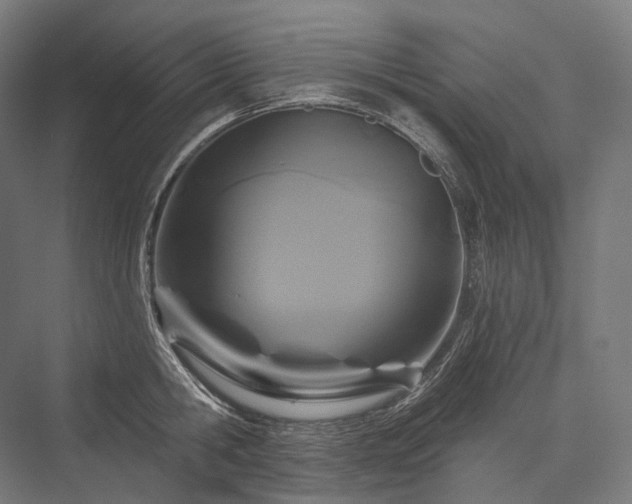 X0000076380806200610061123