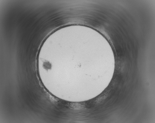 X0000076380807200610061123