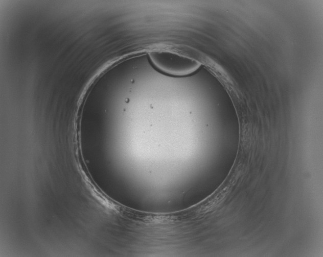 X0000076380808200610061123