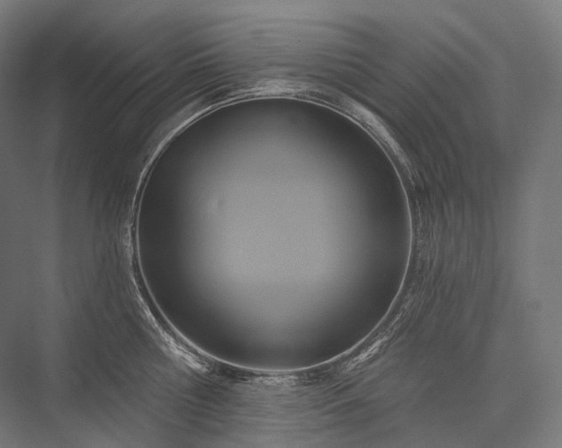 X0000076380810200610061123