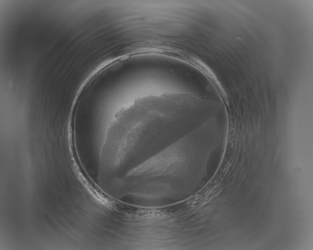 X0000076380811200610061123