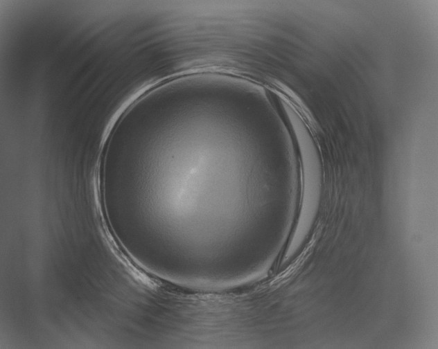 X0000076380812200610061123