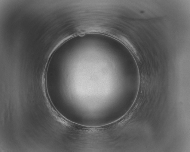 X0000076380814200610061123