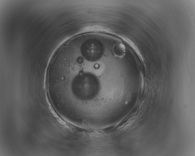 X0000076380815200610061123