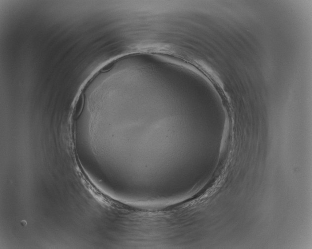 X0000076380816200610061123